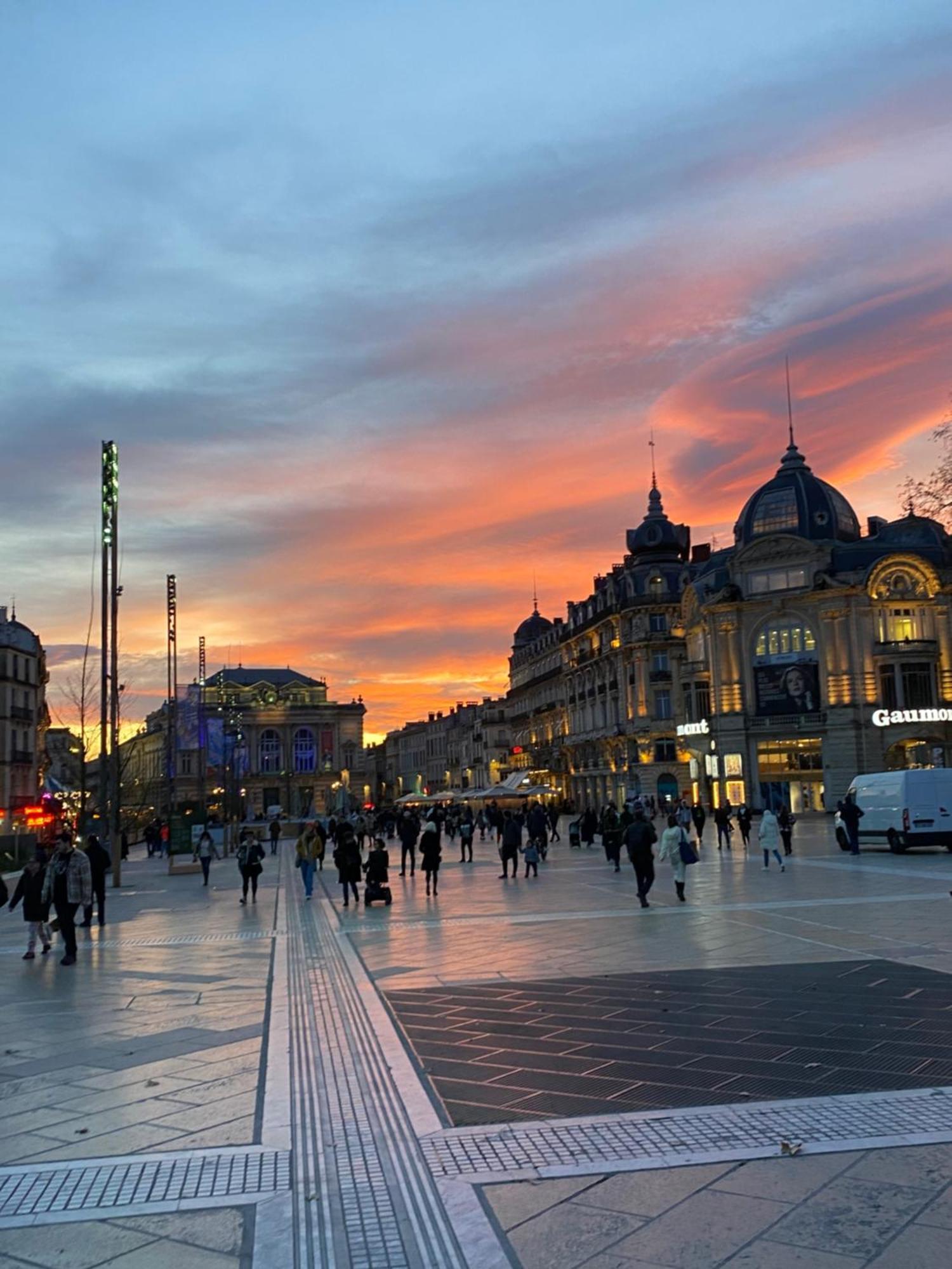 Rives Du Lez - Prestige Daire Montpellier Dış mekan fotoğraf