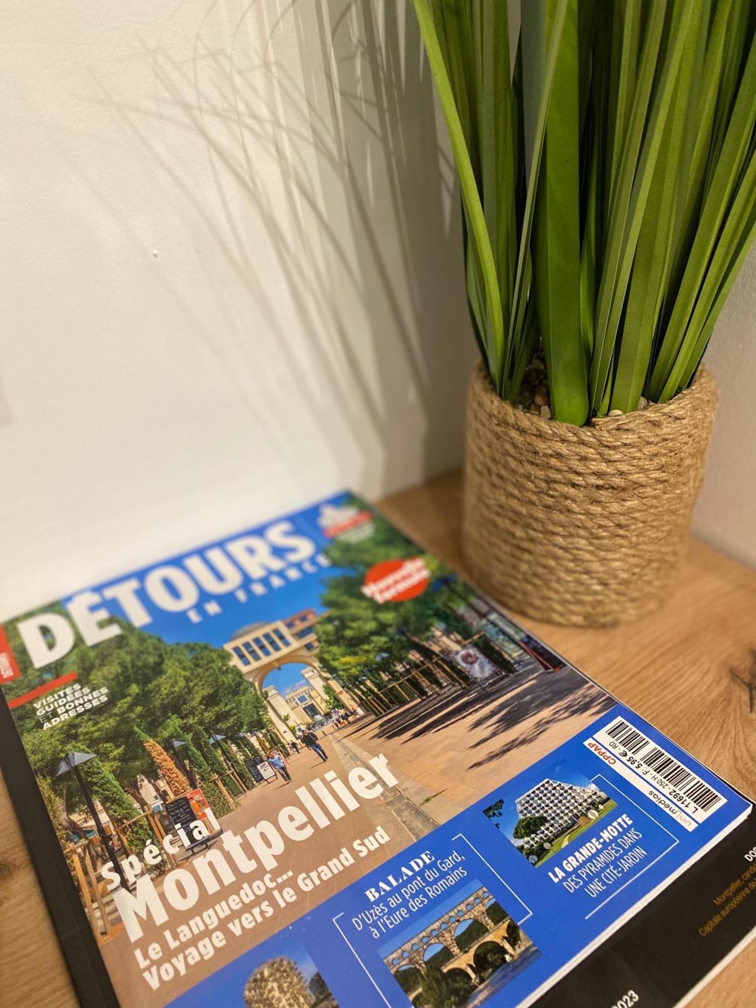 Rives Du Lez - Prestige Daire Montpellier Dış mekan fotoğraf